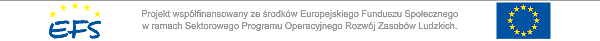 Logo EFS i UE